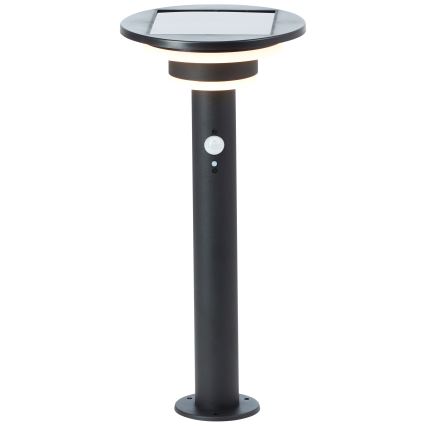 Brilliant - Lampe solaire avec détecteur GARVINA LED/3W/3,7V 45 cm IP44 noir