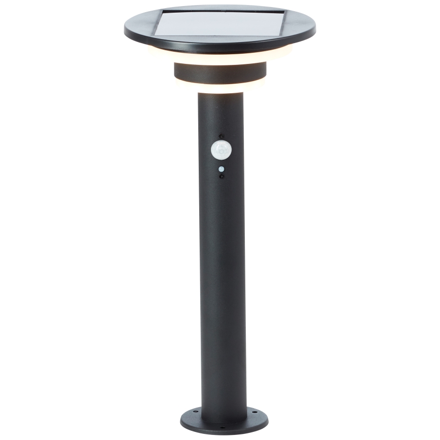 Brilliant - Lampe solaire avec détecteur GARVINA LED/3W/3,7V 45 cm IP44 noir