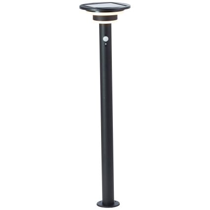 Brilliant - Lampe solaire avec détecteur GARVINA LED/3W/3,7V 85 cm IP44 noir