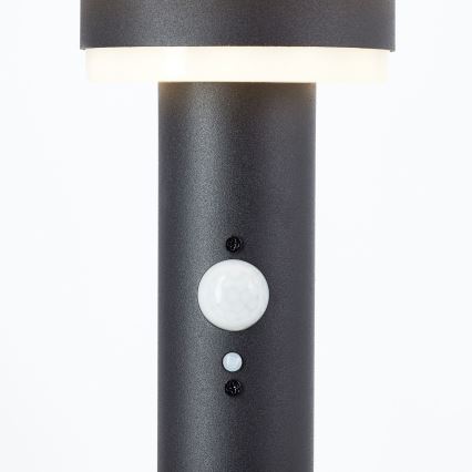 Brilliant - Lampe solaire avec détecteur GARVINA LED/3W/3,7V 85 cm IP44 noir