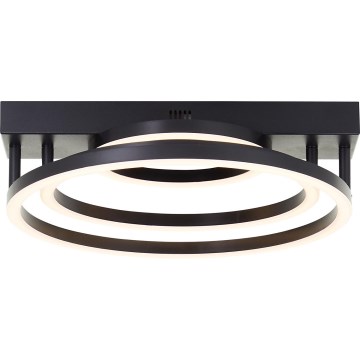 Brilliant - LED Plafonnier dimmable PEDLEY LED/36W/230V noir