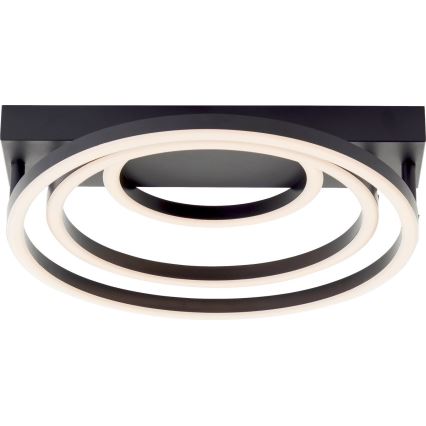 Brilliant - LED Plafonnier dimmable PEDLEY LED/36W/230V noir