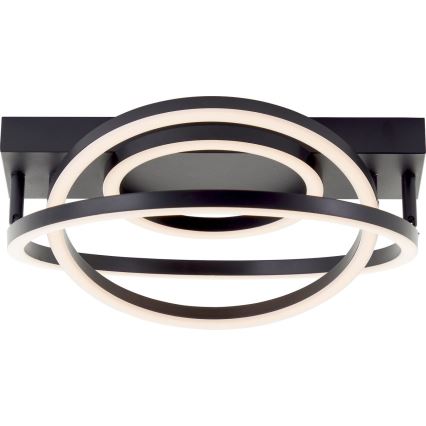 Brilliant - LED Plafonnier dimmable PEDLEY LED/36W/230V noir