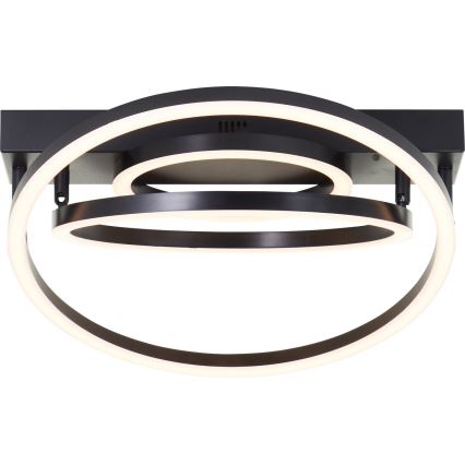Brilliant - LED Plafonnier dimmable PEDLEY LED/36W/230V noir