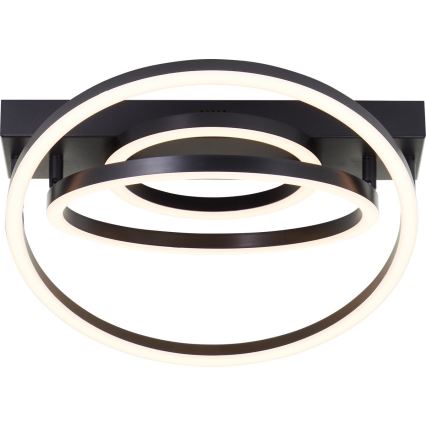 Brilliant - LED Plafonnier dimmable PEDLEY LED/36W/230V noir