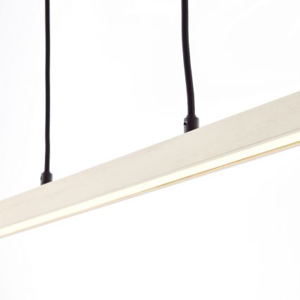 Brilliant - Lustre LED sur câble ARION LED/22W/230V en pin