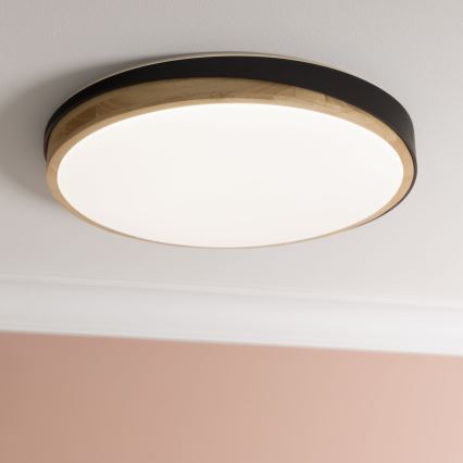 Brilliant - Plafonnier à intensité variable BAARLO LED/36W/230V 3000-6500K d. 50 cm noir/figuier caoutchouc + télécommande - FSC certifié