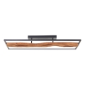 Brilliant - Plafonnier à intensité variable CHAUMONT LED/48W/230V figuier caoutchouc