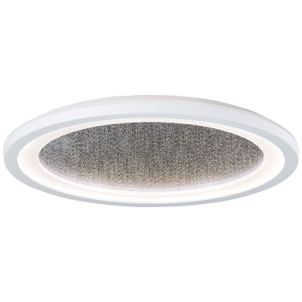 Brilliant - Plafonier RGBW à intensité variable TANIDA LED/22W/230V 3000-6500K+ télécommande