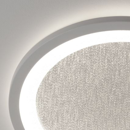 Brilliant - Plafonier RGBW à intensité variable TANIDA LED/22W/230V 3000-6500K+ télécommande