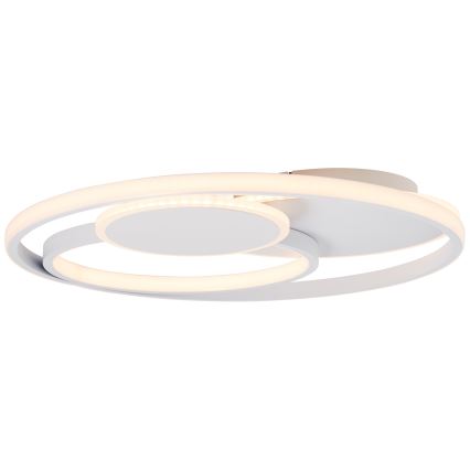 Brilliant - Plafonnier à intensité variable RUNDA LED/50W/230V 3000-6500K blanc + Télécommande