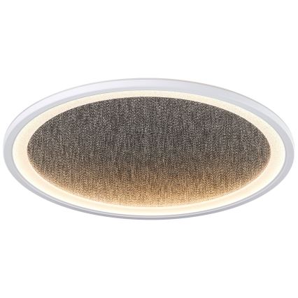 Brilliant - Plafonnier à intensité variable TANIDA LED/31W/230V 3000-6500K + Télécommande