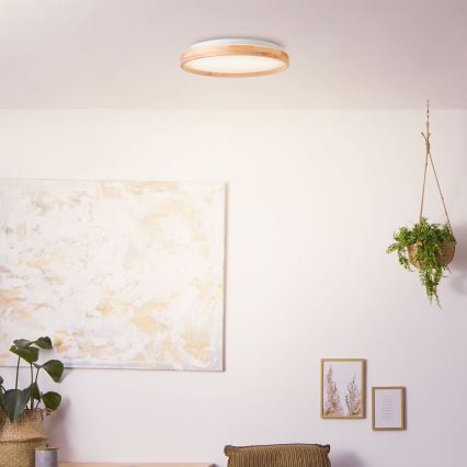Brilliant - Plafonnier ALSON LED/26W/230V 3000/4500K d. 39,5 cm figuier caoutchouc - FSC certifié