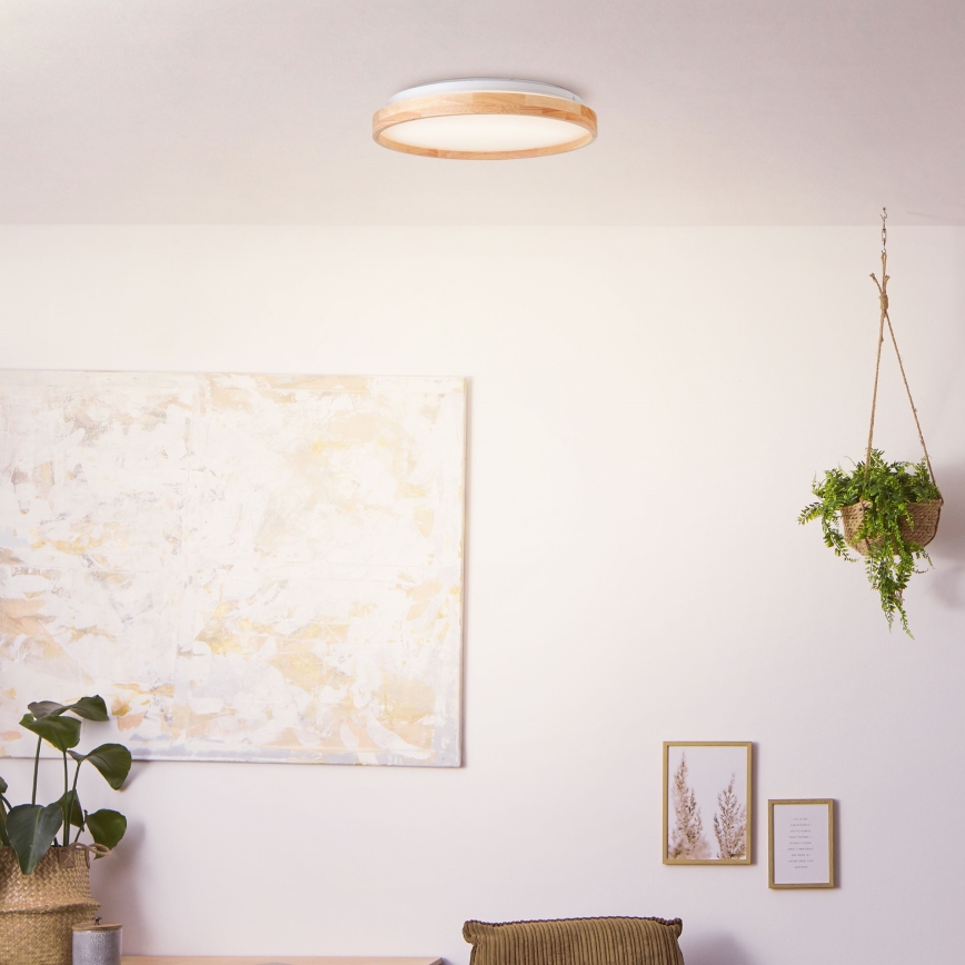 Brilliant - Plafonnier ALSON LED/26W/230V 3000/4500K d. 39,5 cm figuier caoutchouc - FSC certifié