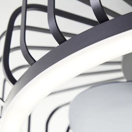 Brilliant - Plafonnier dimmable à LED avec ventilateur CAPO LED/36W/230V 2700-6500K Ø 48 cm noir + télécommande
