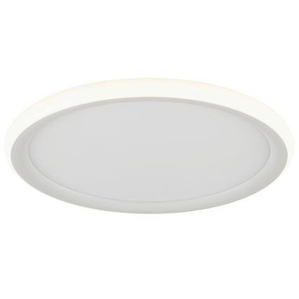 Brilliant - Plafonnier LED dimmable CARLOZ LED/16W/230V Ø 30 cm blanc