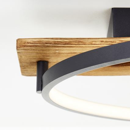Brilliant - Plafonnier LED à intensité variable PIRUS LED/30W/230V 30x70 cm en bois d'hévéa