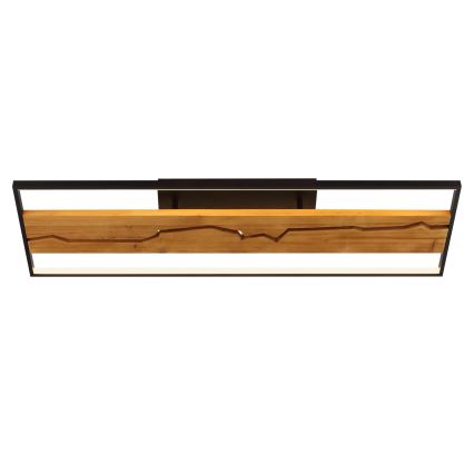 Brilliant - Plafonnier LED dimmable THUNDER LED/42W/230V, finition pin