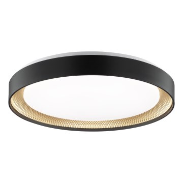 Brilliant - Plafonnier LED dimmable WALDO LED/36W/230V 3000-6500K Ø 48,5 cm noir/doré + télécommande