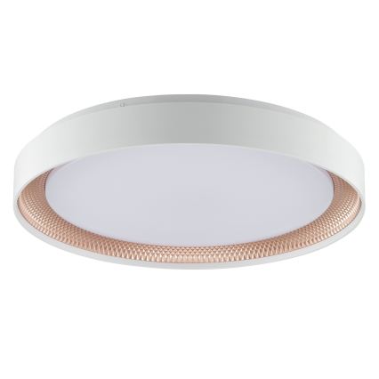 Brilliant - Plafonnier LED dimmable WALDO LED/36W/230V 3000-6500K Ø 48,5 cm blanc/or rose + télécommande