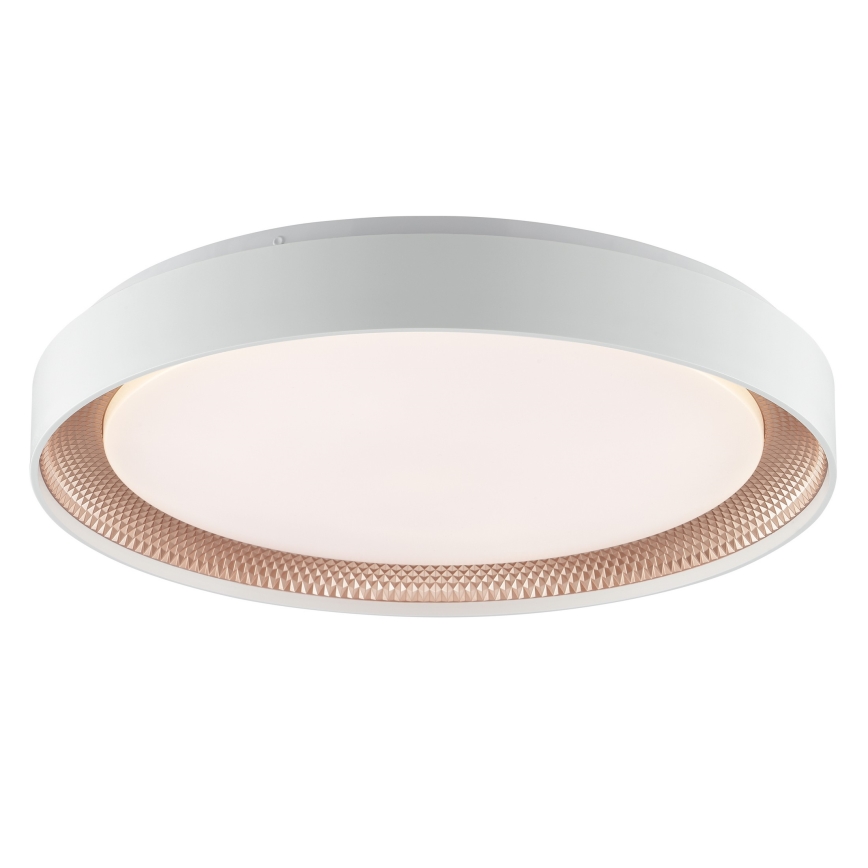 Brilliant - Plafonnier LED dimmable WALDO LED/36W/230V 3000-6500K Ø 48,5 cm blanc/or rose + télécommande