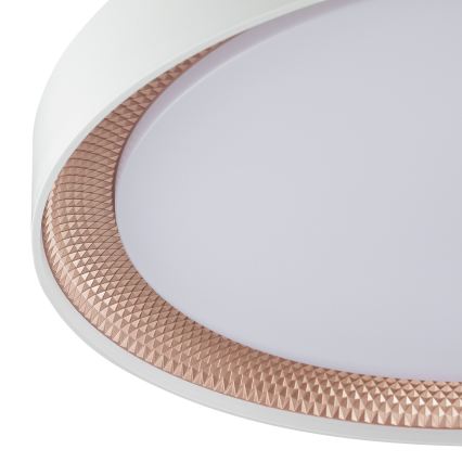 Brilliant - Plafonnier LED dimmable WALDO LED/36W/230V 3000-6500K Ø 48,5 cm blanc/or rose + télécommande