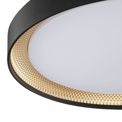 Brilliant - Plafonnier LED dimmable WALDO LED/36W/230V 3000-6500K Ø 48,5 cm noir/doré + télécommande
