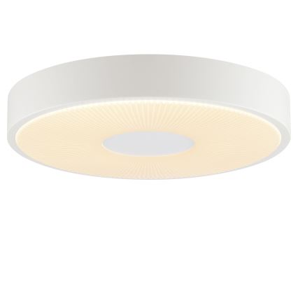 Brilliant - Plafonnier LED RAKIN LED/18W/230V Ø 33,5 cm blanc