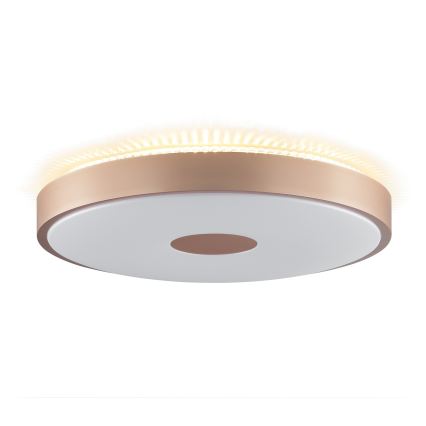 Brilliant - Plafonnier LED TAVIS LED/24W/230V Ø 44,5 cm or rose
