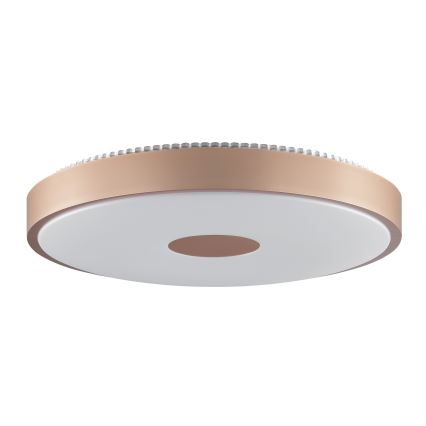 Brilliant - Plafonnier LED TAVIS LED/24W/230V Ø 44,5 cm or rose