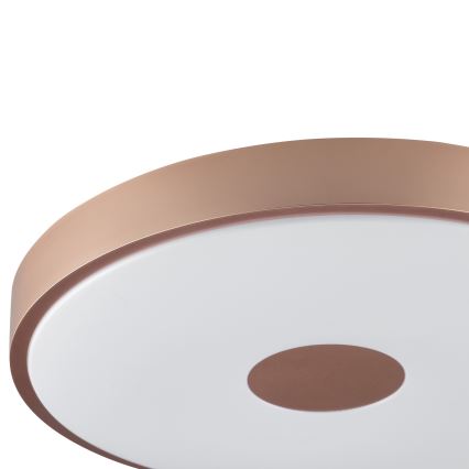Brilliant - Plafonnier LED TAVIS LED/24W/230V Ø 44,5 cm or rose