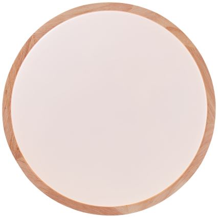 Brilliant - Plafonnier SLIMLINE LED/14W/230V 3000/4000K figuier caoutchouc