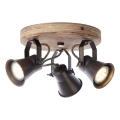 Brilliant - Spot SEED 3xGU10/5W/230V noir/marron