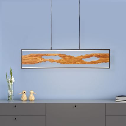 Brilliant - Suspension filaire CHAUMONT LED/20W/230V pin - FSC certifié