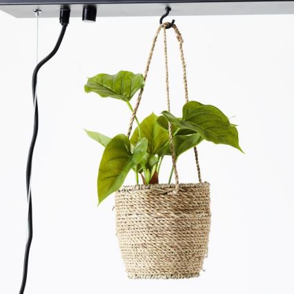 Brilliant - Suspension sur câble BANKWOOD 5xE27/28W/230V peuplier