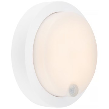 Brilo - Applique murale extérieure LED rechargeable avec capteur, 4 W / 5 V, 4400 mAh, IP44, blanche