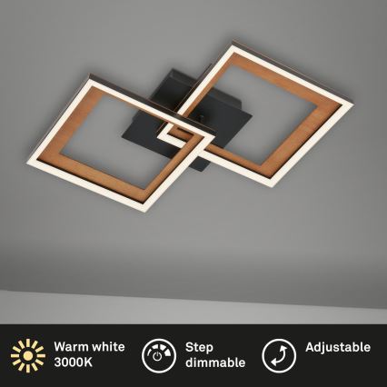 Brilo - Plafonnier à intensité variable FRAME 2xLED/11W/230V