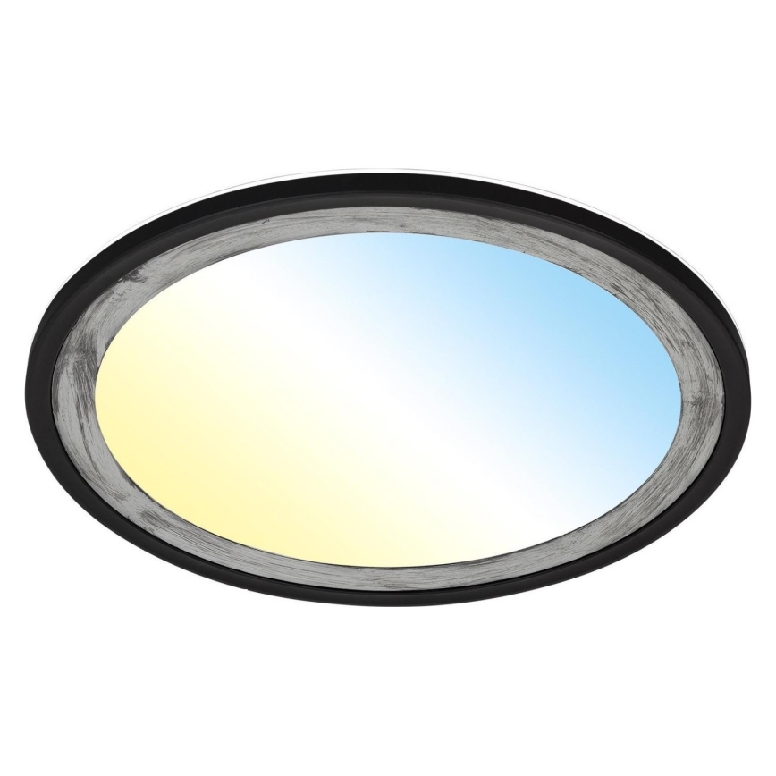 Brilo - Plafonnier à intensité variable SLIM LED/22W/230V 2700-6500K + télécommande