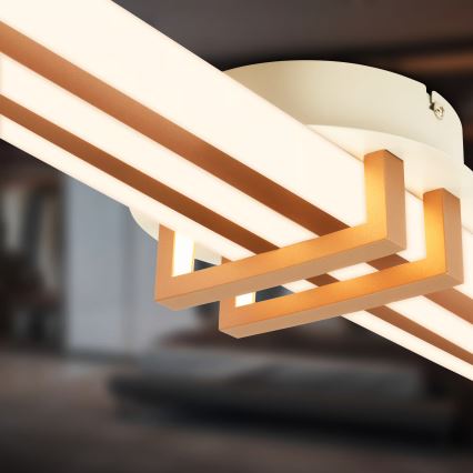 Brilo - Plafonnier LED TINKA LED/30W/230V 3000K cuivré