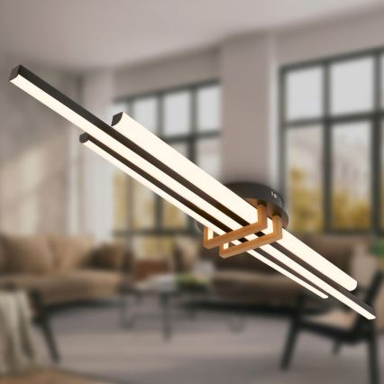 Brilo - Plafonnier LED TINKA LED/30W/230V 3000K noir