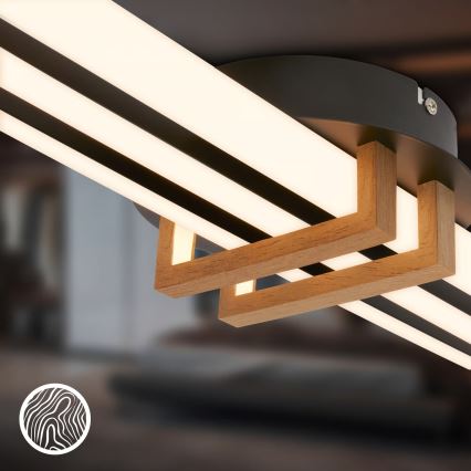 Brilo - Plafonnier LED TINKA LED/30W/230V 3000K noir