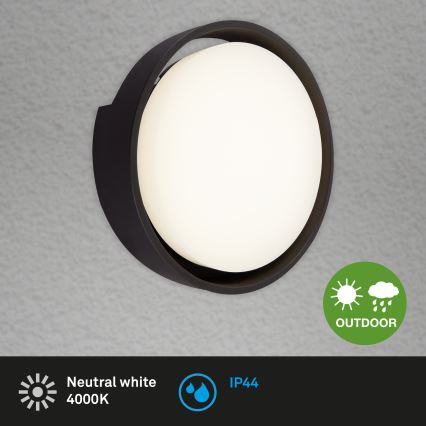 Briloner 3019-015 - Applique murale LED d'extérieur GENUA LED/18W/230V IP44 noir