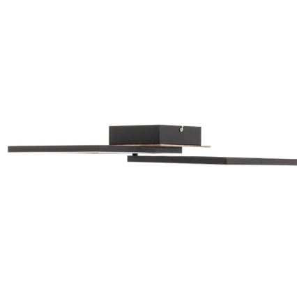 Briloner 3210-014 - Plafonnier à intensité variable FRAME 2xLED/11W/230V marron