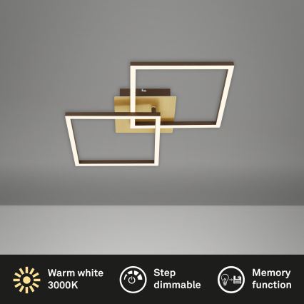 Briloner 3210-017 - Plafonnier à intensité variable LED FRAME 2xLED/11W/230V doré