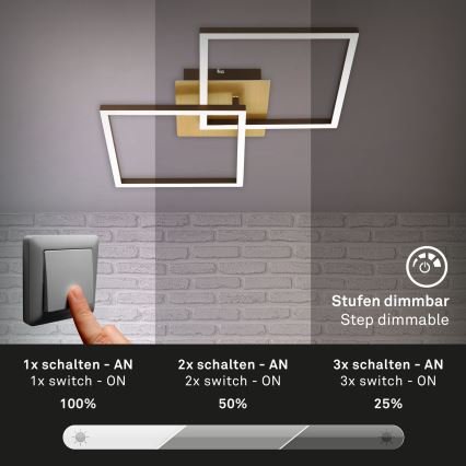 Briloner 3210-017 - Plafonnier à intensité variable LED FRAME 2xLED/11W/230V doré