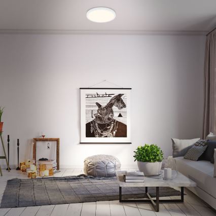 Briloner 3704-016 - Plafonnier à intensité variable RUNA LED/22W/230V 2700-6500K blanc + télécommande