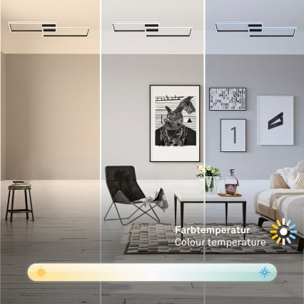 Briloner 3761015 - Plafonnier LED dimmable LED/45W/230V 2700-6500K noir + télécommande