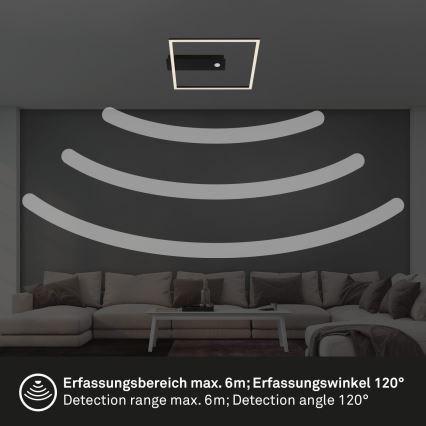 Briloner 3770-015 - Plafonnier LED avec détecteur de mouvement et capteur crépusculaire FRAME LED/14W/230V 3000K 30x32 cm noir