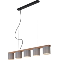 Briloner 4075-054 - Suspension sur câble RHON 5xE14/25W/230V