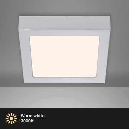 Briloner 7123-014 - Plafonnier LED FIRE LED/12W/230V 3000K 17x17cm argenté